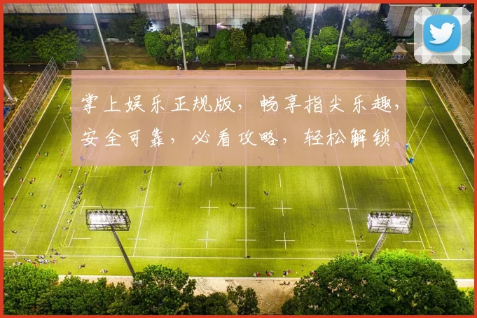 掌上娱乐正规版，畅享指尖乐趣，安全可靠，必看攻略，轻松解锁