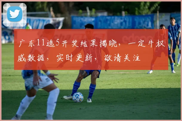 广东11选5开奖结果揭晓，一定牛权威数据，实时更新，敬请关注