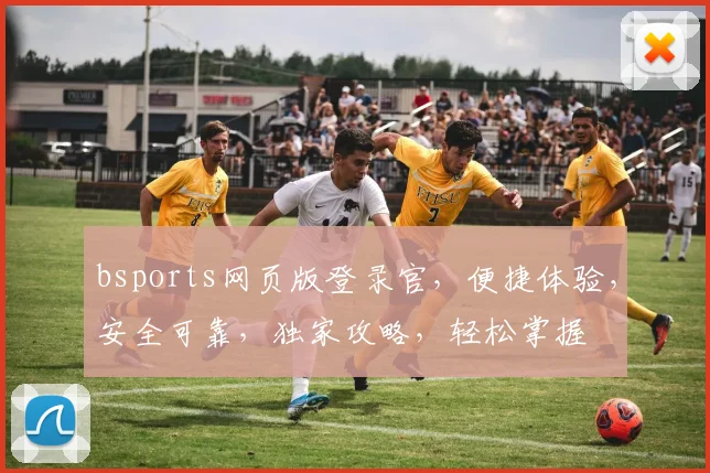 bsports网页版登录官，便捷体验，安全可靠，独家攻略，轻松掌握
